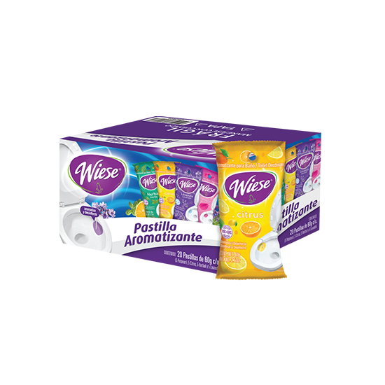 Pastilla para Sanitario 60 g con Gancho Plastico Wiese