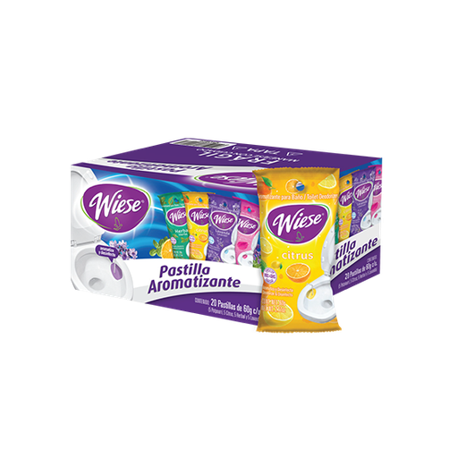 [40405] Pastilla para Sanitario 60 g con Gancho Plastico Wiese