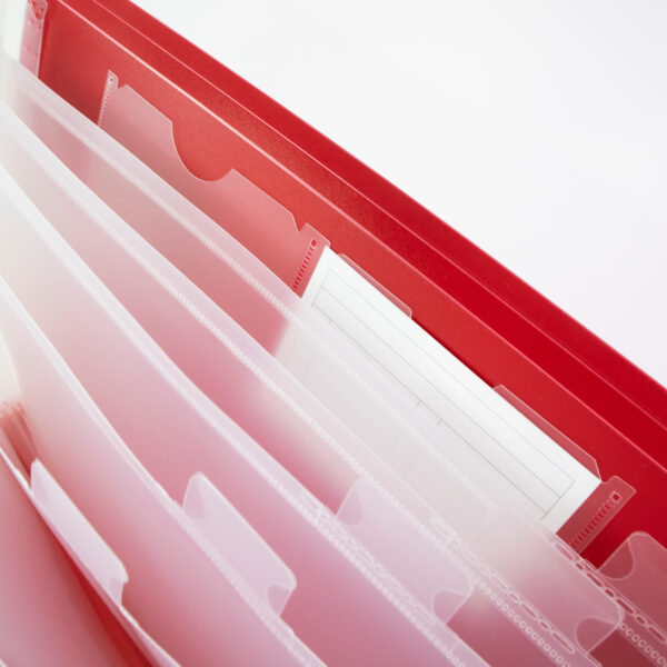 Archivo Tipo Acordeon De Plastico T/C 13Div