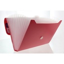 Archivo Tipo Acordeon De Plastico T/C 13Div