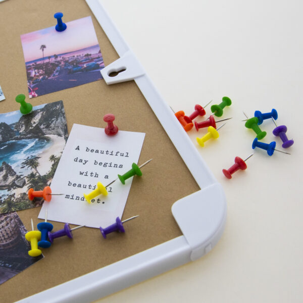 Chincheta Push Pin Color Surtido C/100 Bazic