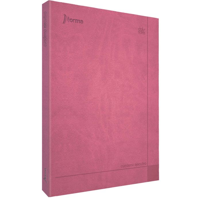 Cuaderno Ejecutivo Daily Notes Raya Grande con 100 Hojas