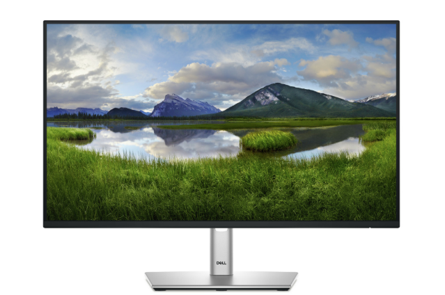 Monitor Dell P2425H LED IPS 24", 1920x1080 Full HD, 100Hz, HDMI/DisplayPort, Negro