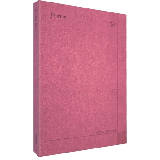 [11382] Cuaderno Ejecutivo Daily Notes Raya Grande con 100 Hojas