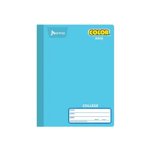 [13456] Cuaderno Cosido College Ry Norma C/100 Hjs
